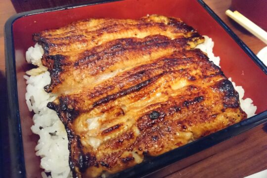 「これは鰻のミルフィーユだ…」 老舗のうなぎ屋「鰻禅」で二段重を(奢りで)食べてきた。